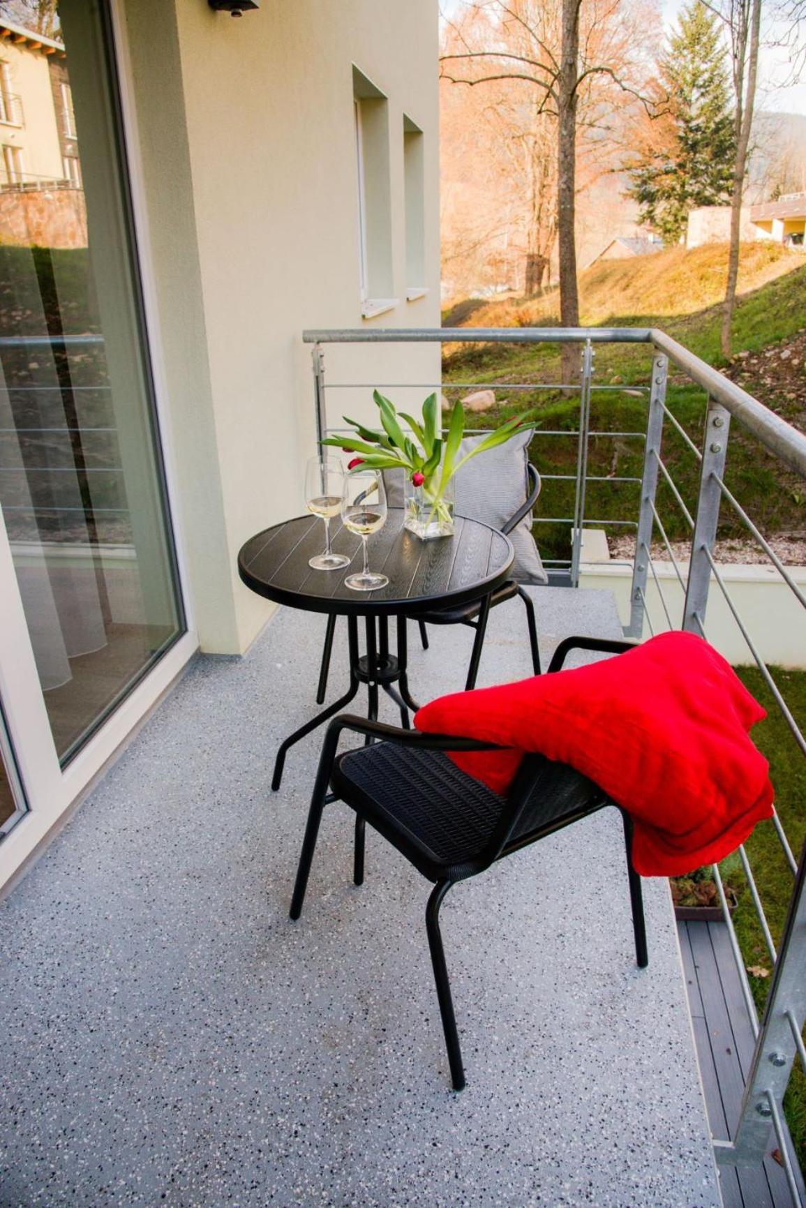 Apartment Pmr Horni Marsov